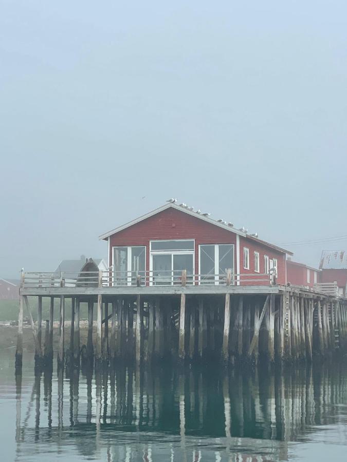 Ekkeroy Lodge - Arctic Living Vadso Exterior photo