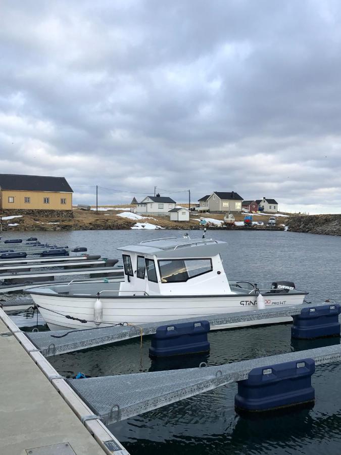 Ekkeroy Lodge - Arctic Living Vadso Exterior photo
